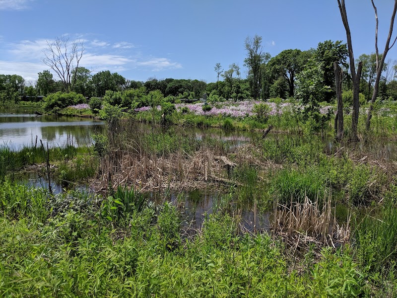 Middlefork Savanna Forest Preserve