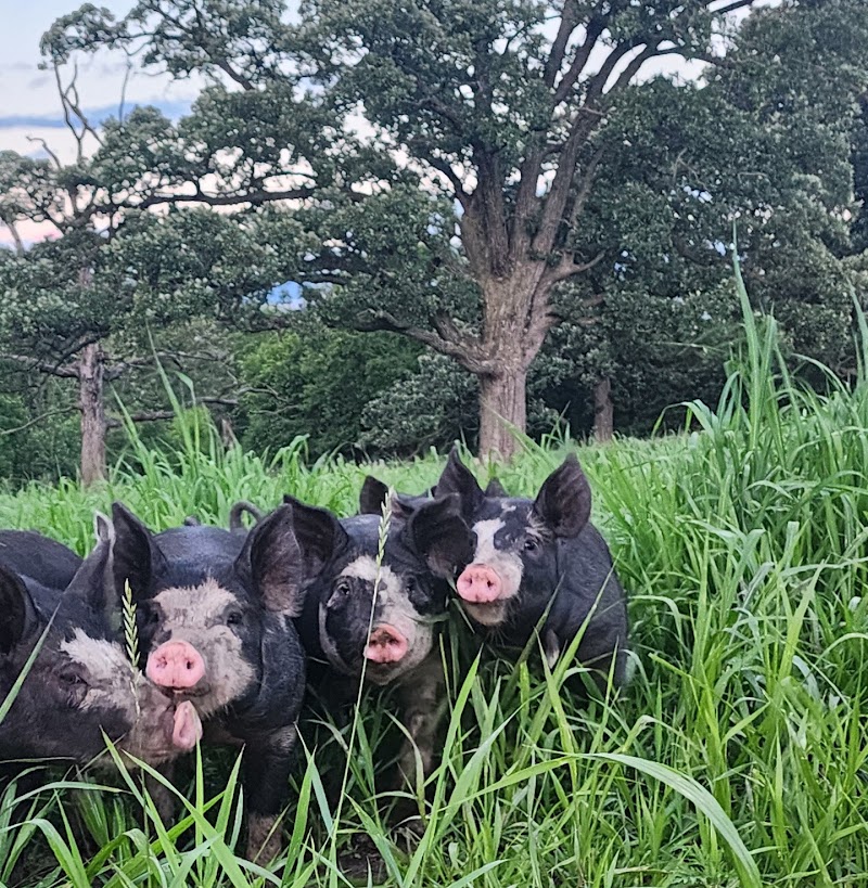 Wanda Farms