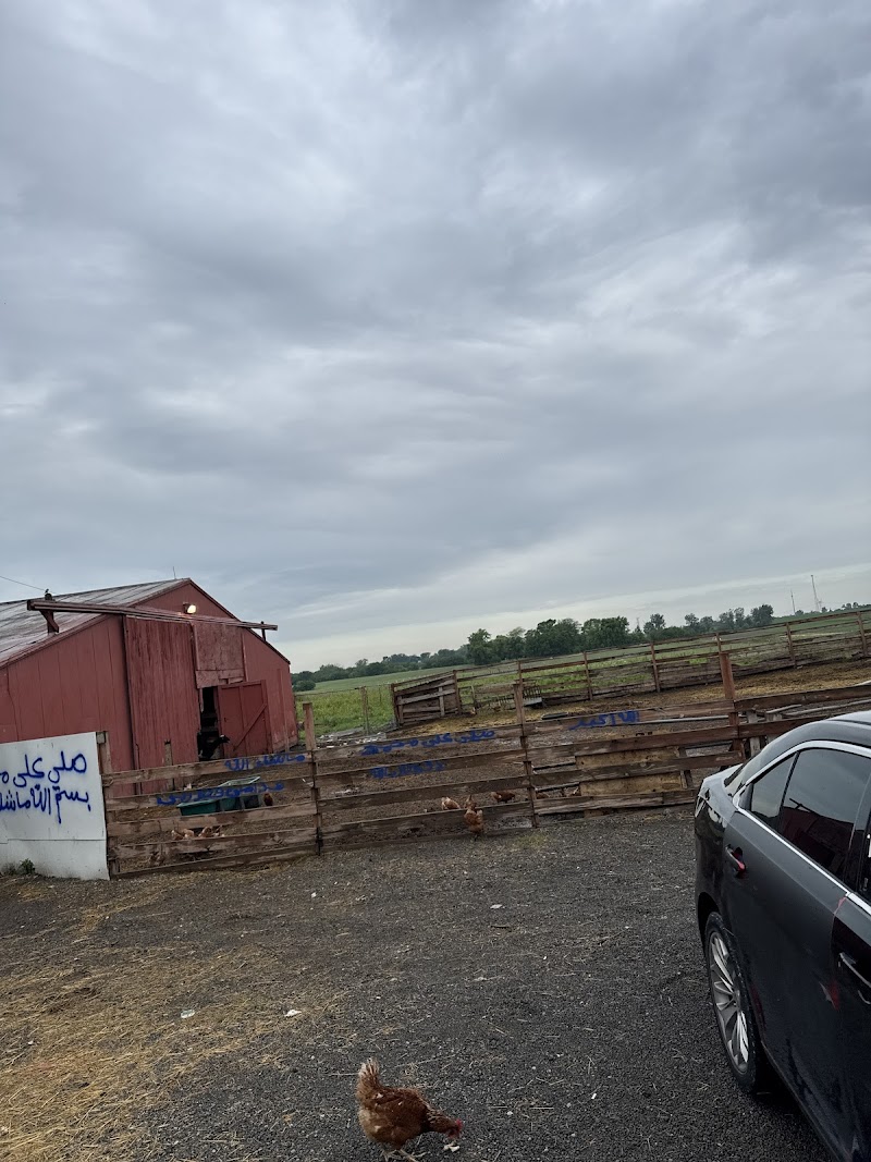 Arab Chicago Farm Zabiha Halal