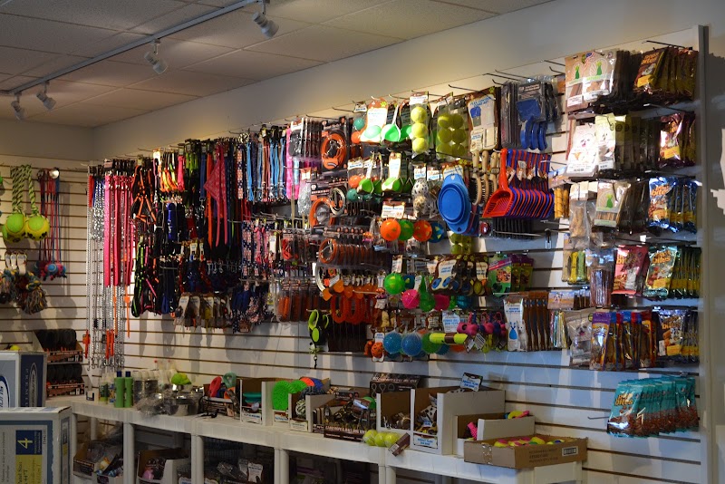 Great Lakes Wholesale International