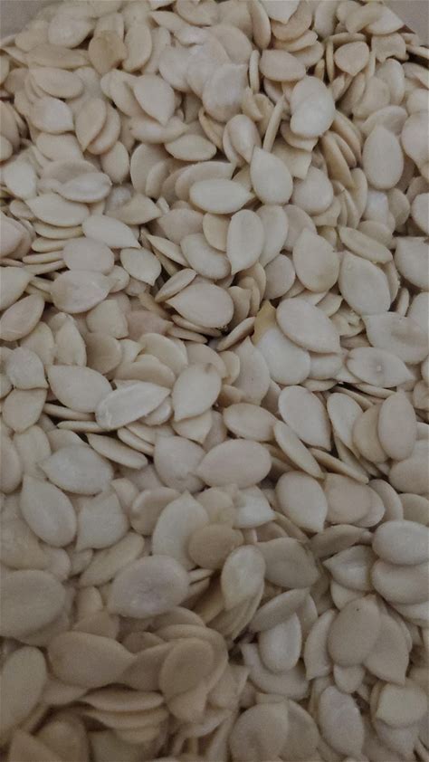 Egusi Melon Seeds 16oz