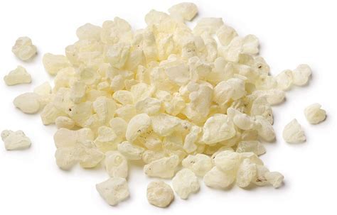 Mastic Gum 1oz Large